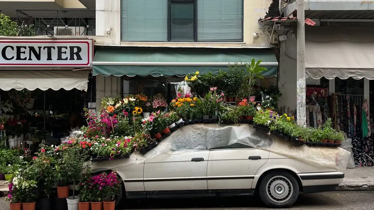 缅北禁地后续真相与希望的曙光